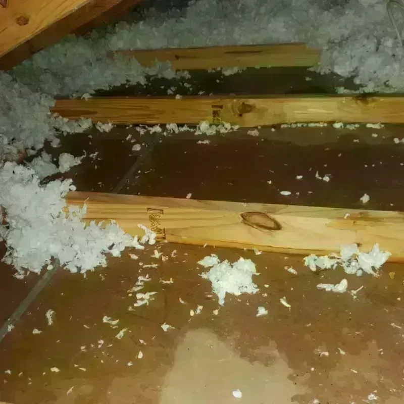 Attic Water Damage in Kewaunee, WI